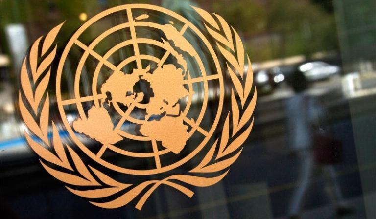 A U.N. Human-Rights Expert Speaks to a Genocide-Denying Website