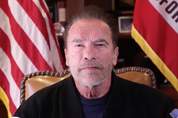 Arnold Schwarzenegger’s Speech Comparing The Capitol Riots To Nazi Germany Gave Me Chills