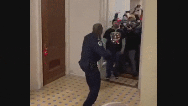 Capitol cop led DC rioters away from open Senate chambers door before it was locked, likely saving lives