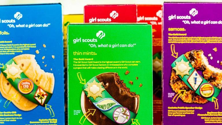 Girl Scout’s adorable cookie sales pitch to doorbell camera goes viral