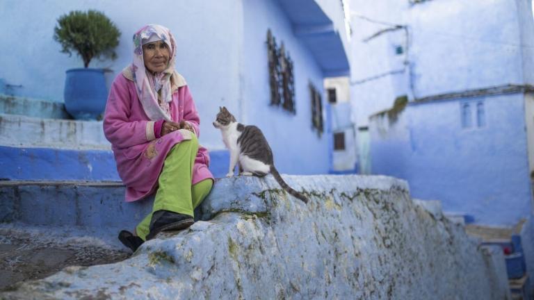 Morocco’s iconic blue city suffers coronavirus tourism decline as pandemic continues: report