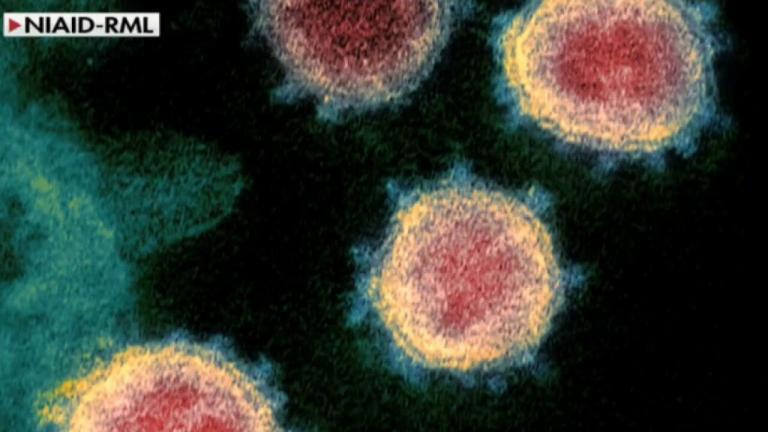 UK coronavirus variant identified in Utah for first time: officials