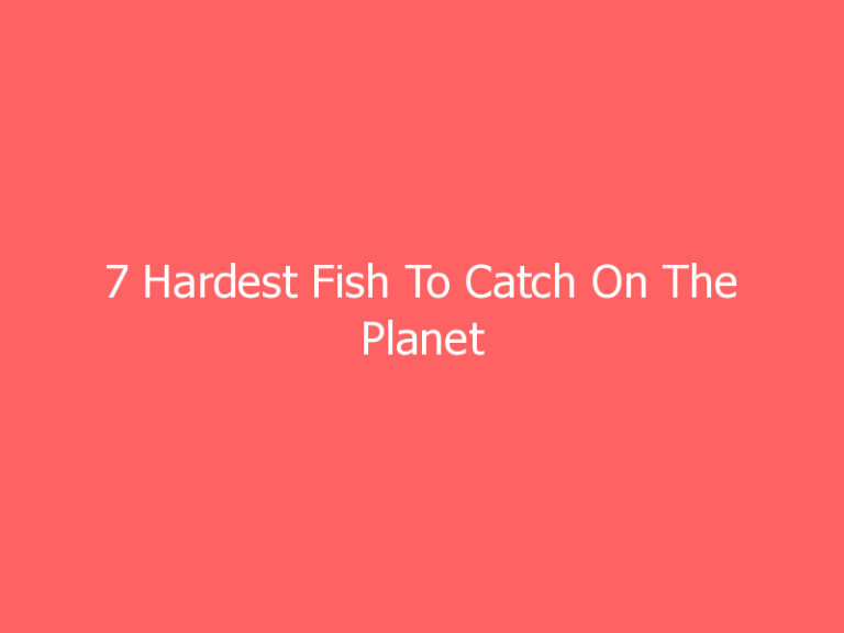 7 Hardest Fish To Catch On The Planet