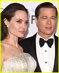 Angelina Jolie Filed New Documents in Brad Pitt Divorce Over Their Wine Company