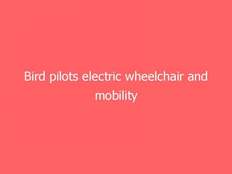 Bird pilots electric wheelchair and mobility scooter rentals in New York City