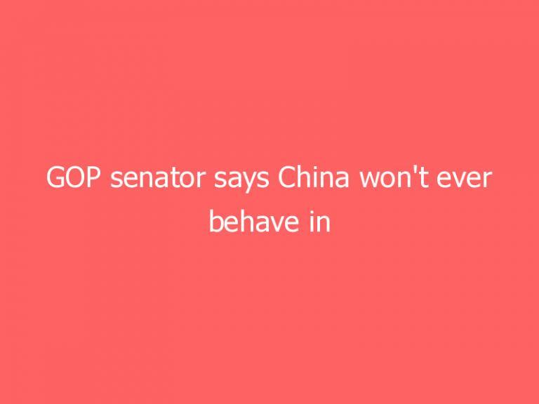 GOP senator says China won’t ever behave in ‘rational’ fashion, slams liberal groups for wishful thinking