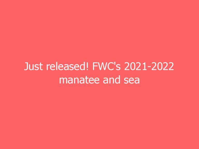 Just released! FWC’s 2021-2022 manatee and sea turtle decals, by Florida Fish And Wildlife Conservation Commission