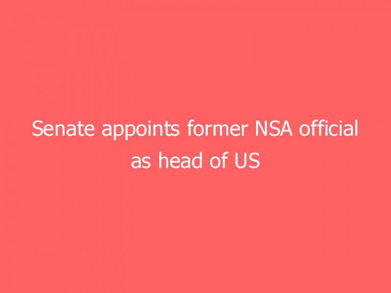 Senate appoints former NSA official as head of US cybersecurity agency
