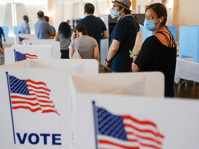 Poll: More Americans Worried About Voter Fraud Than Voter Suppression