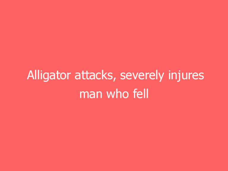 Alligator attacks, severely injures man who fell off bike at Florida park