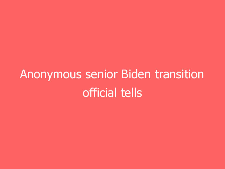 Anonymous senior Biden transition official tells NBC News the migrant caravan won’t be allowed in