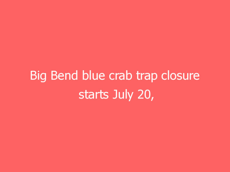 Big Bend blue crab trap closure starts July 20, by Florida Fish And Wildlife Conservation Commission