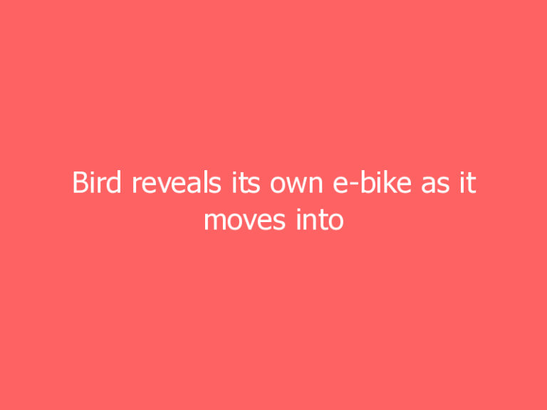 Bird reveals its own e-bike as it moves into bikesharing