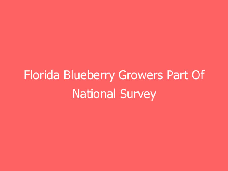 Florida Blueberry Growers Part Of National Survey On Pollinator Use