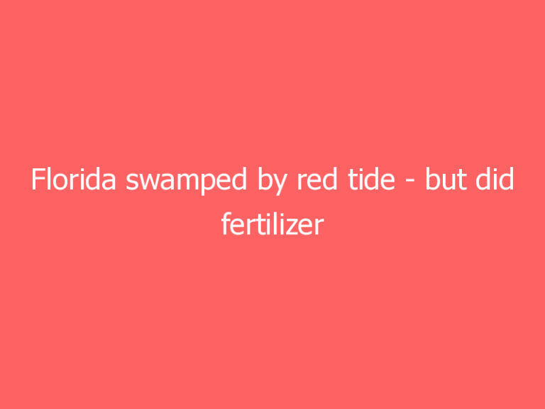 Florida swamped by red tide – but did fertilizer plant spill making it worse?