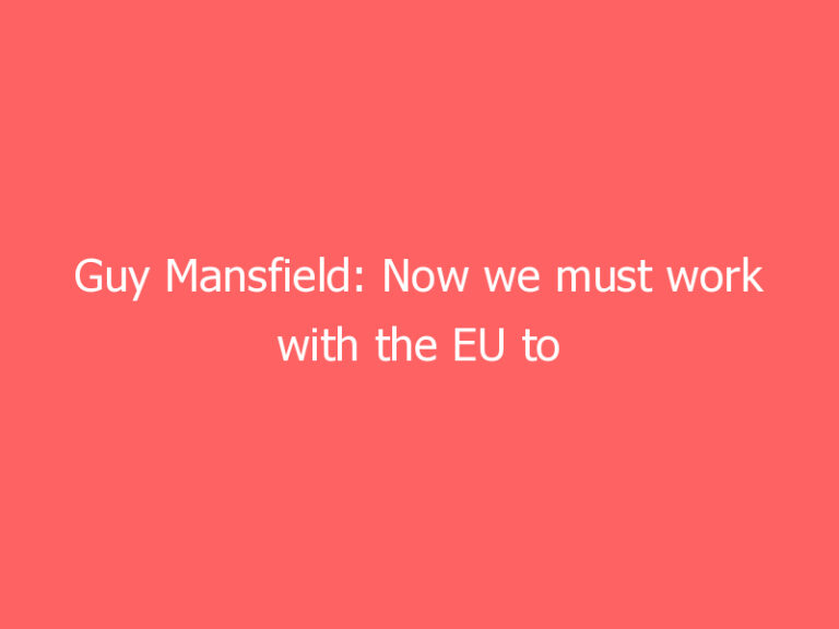 Guy Mansfield: Now we must work with the EU to make Britain more safe and secure