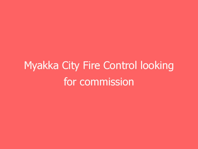Myakka City Fire Control looking for commission applicants to fill short period until merging with East Manatee Fire District