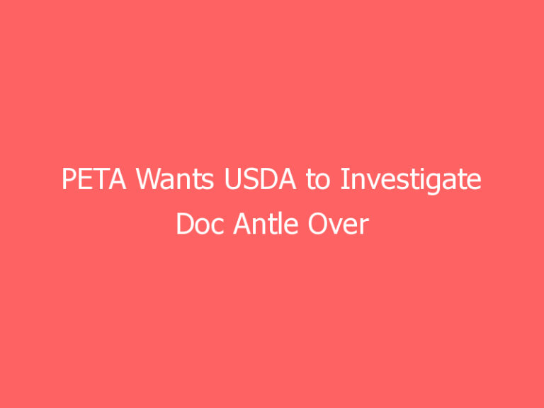 PETA Wants USDA to Investigate Doc Antle Over Larsa Pippen Visit