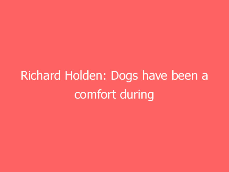 Richard Holden: Dogs have been a comfort during lockdown. There’s more we can do to protect them – and other animals.