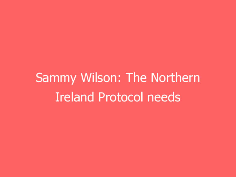 Sammy Wilson: The Northern Ireland Protocol needs to be replaced, not repaired