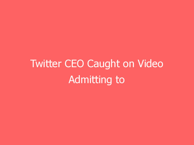 Twitter CEO Caught on Video Admitting to Targeting Accounts