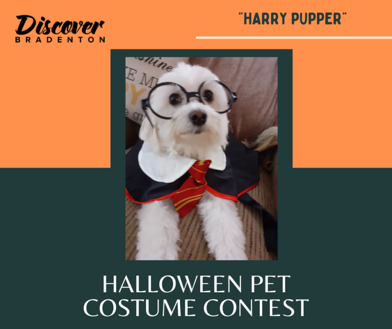 Do you have the best Halloween dressed pet in Manatee County?