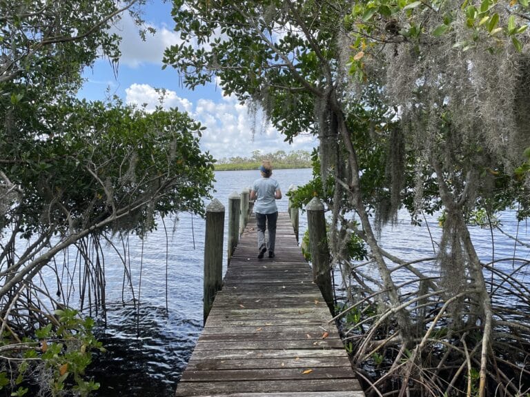 Manatee County Secures 68 Acres Along Manatee River for Environmental Preservation