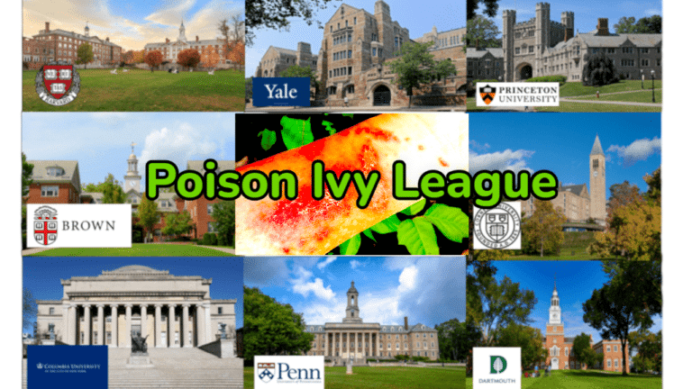 The Ivy League Universities Are Poison Ivy