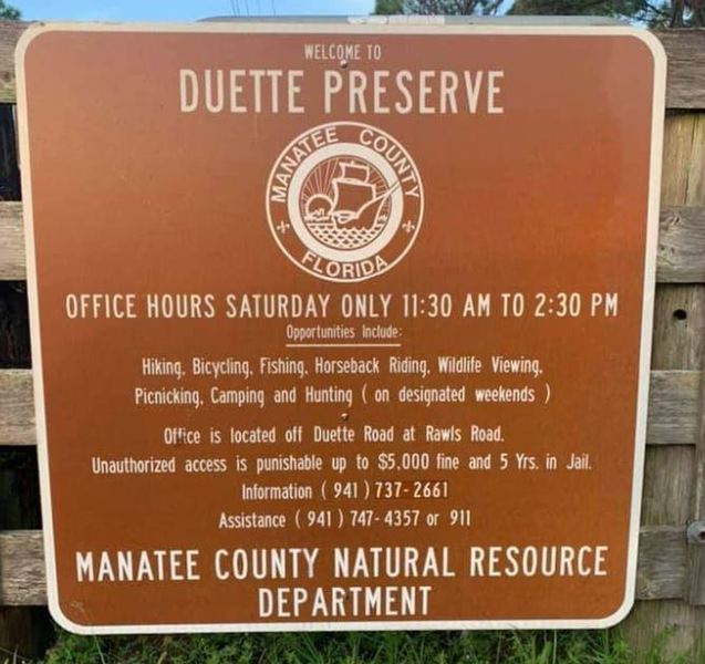 Panthers at Manatee County’s Duette Preserve